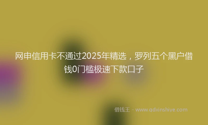 网申信用卡不通过2025年精选，罗列五个黑户借钱0门槛极速下款口子