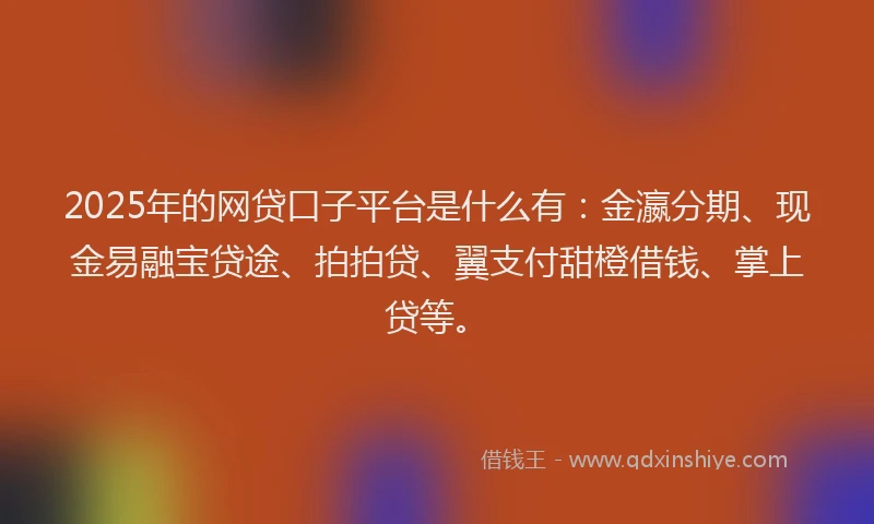 2025年的网贷口子平台是什么有：金瀛分期、现金易融宝贷途、拍拍贷、翼支付甜橙借钱、掌上贷等。