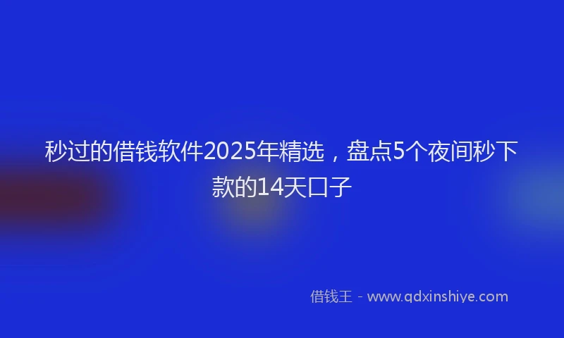 秒过的借钱软件2025年精选，盘点5个夜间秒下款的14天口子
