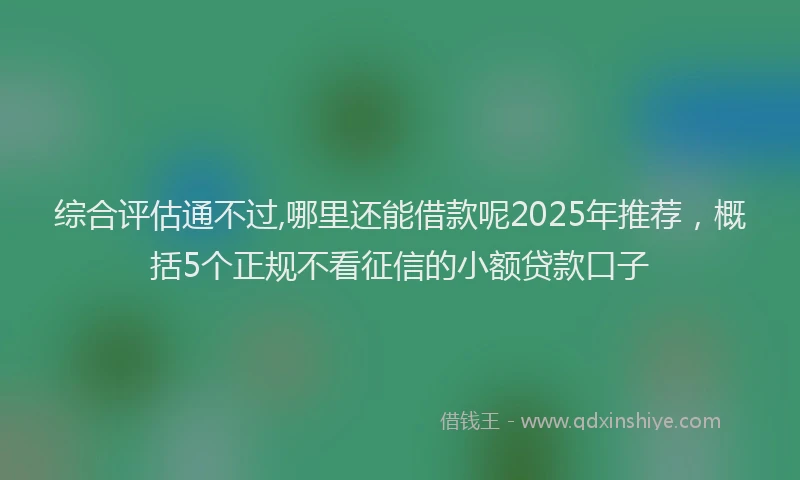 综合评估通不过,哪里还能借款呢2025年推荐，概括5个正规不看征信的小额贷款口子