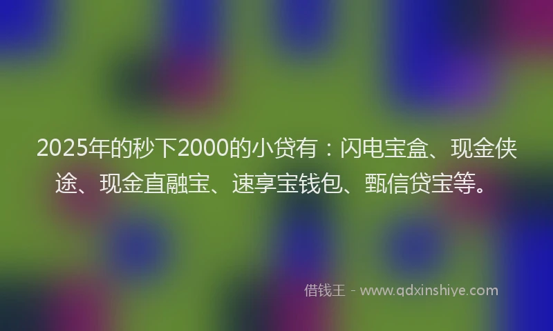 2025年的秒下2000的小贷有：闪电宝盒、现金侠途、现金直融宝、速享宝钱包、甄信贷宝等。