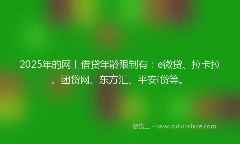 2025年的网上借贷年龄限制有：e微贷、拉卡拉、团贷网、东方汇、平安i贷等。