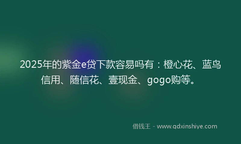 2025年的紫金e贷下款容易吗有：橙心花、蓝鸟信用、随信花、壹现金、gogo购等。