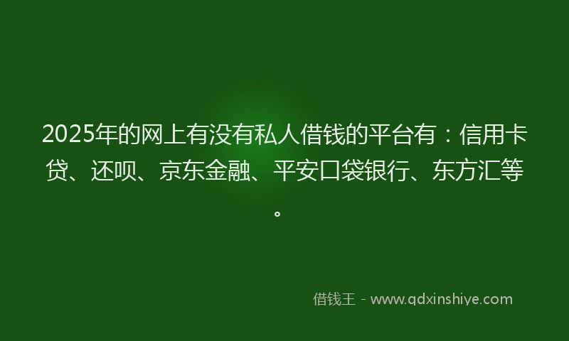 2025年的网上有没有私人借钱的平台有：信用卡贷、还呗、京东金融、平安口袋银行、东方汇等。