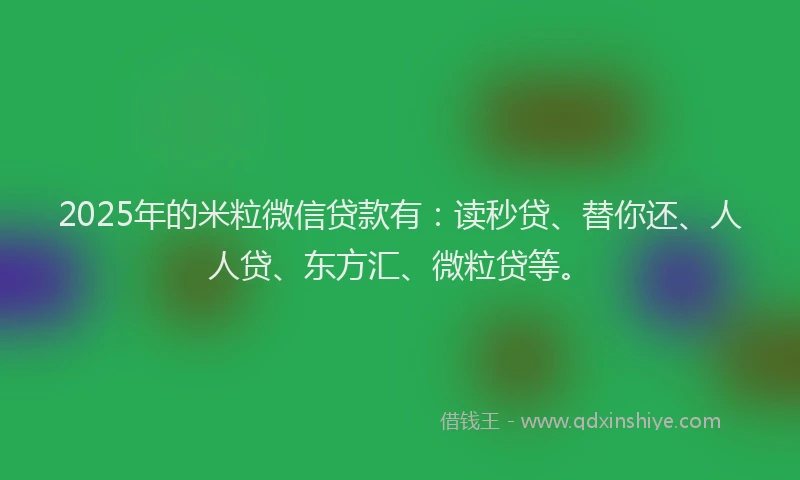 2025年的米粒微信贷款有：读秒贷、替你还、人人贷、东方汇、微粒贷等。