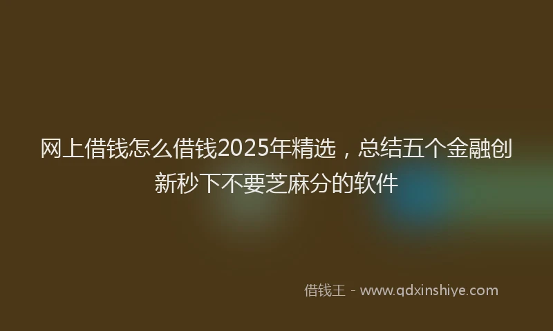 网上借钱怎么借钱2025年精选，总结五个金融创新秒下不要芝麻分的软件