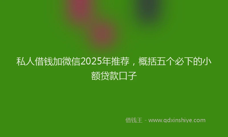私人借钱加微信2025年推荐，概括五个必下的小额贷款口子