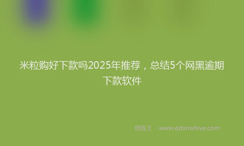 米粒购好下款吗2025年推荐，总结5个网黑逾期下款软件