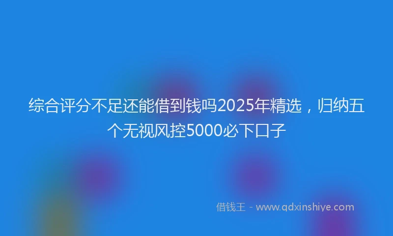 综合评分不足还能借到钱吗2025年精选，归纳五个无视风控5000必下口子