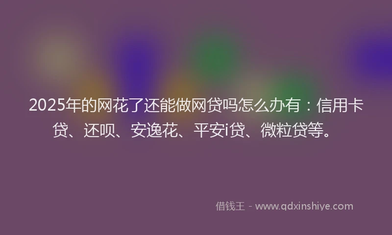 2025年的网花了还能做网贷吗怎么办有：信用卡贷、还呗、安逸花、平安i贷、微粒贷等。