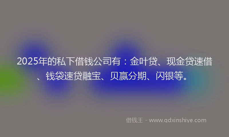 2025年的私下借钱公司有：金叶贷、现金贷速借、钱袋速贷融宝、贝赢分期、闪银等。