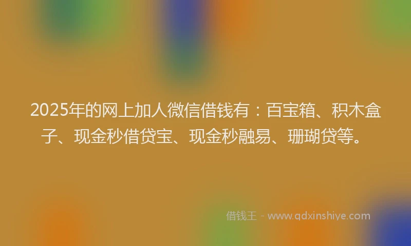 2025年的网上加人微信借钱有：百宝箱、积木盒子、现金秒借贷宝、现金秒融易、珊瑚贷等。