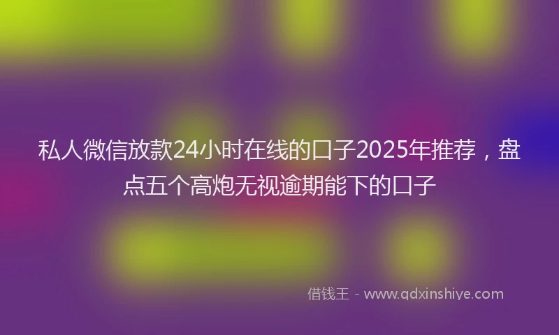 私人微信放款24小时在线的口子2025年推荐，盘点五个高炮无视逾期能下的口子