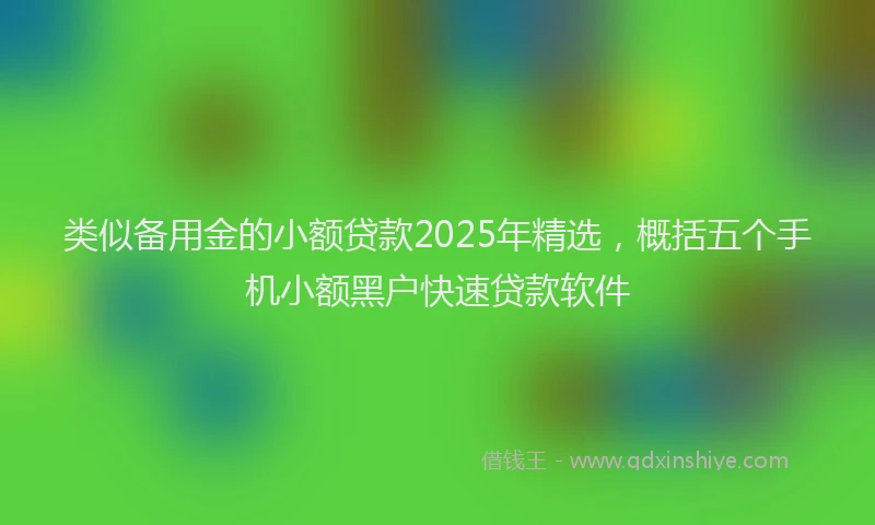 类似备用金的小额贷款2025年精选，概括五个手机小额黑户快速贷款软件