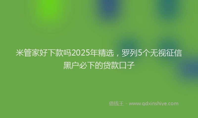 米管家好下款吗2025年精选，罗列5个无视征信黑户必下的贷款口子