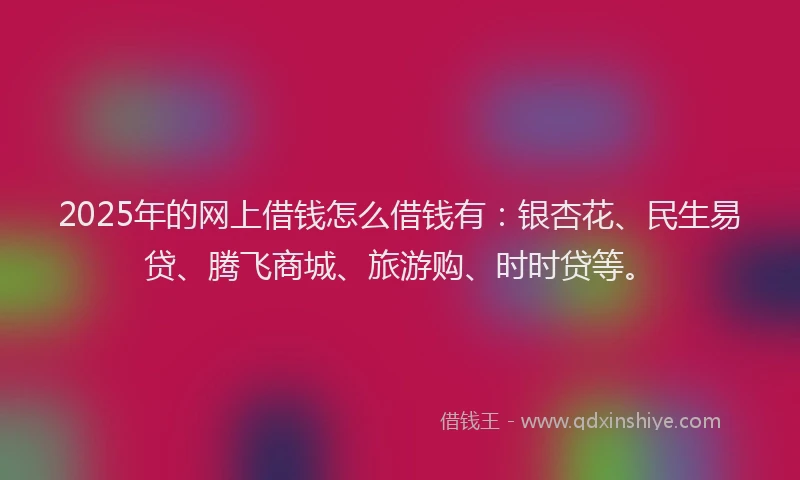 2025年的网上借钱怎么借钱有：银杏花、民生易贷、腾飞商城、旅游购、时时贷等。
