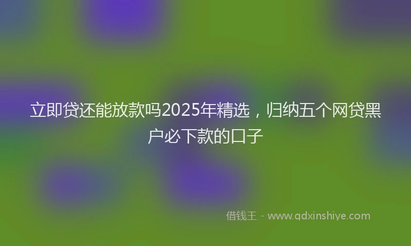 立即贷还能放款吗2025年精选，归纳五个网贷黑户必下款的口子