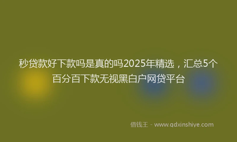 秒贷款好下款吗是真的吗2025年精选，汇总5个百分百下款无视黑白户网贷平台