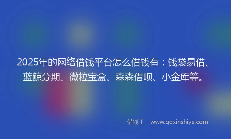 2025年的网络借钱平台怎么借钱有：钱袋易借、蓝鲸分期、微粒宝盒、森森借呗、小金库等。