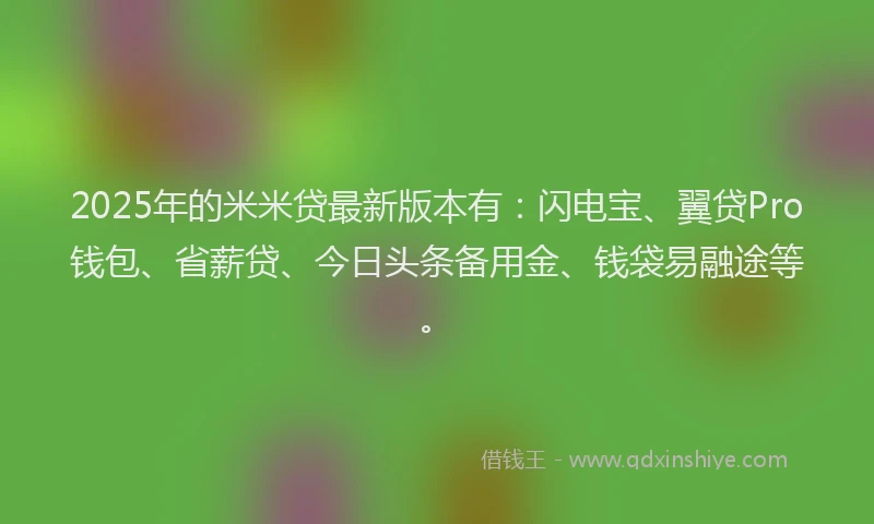 2025年的米米贷最新版本有：闪电宝、翼贷Pro钱包、省薪贷、今日头条备用金、钱袋易融途等。