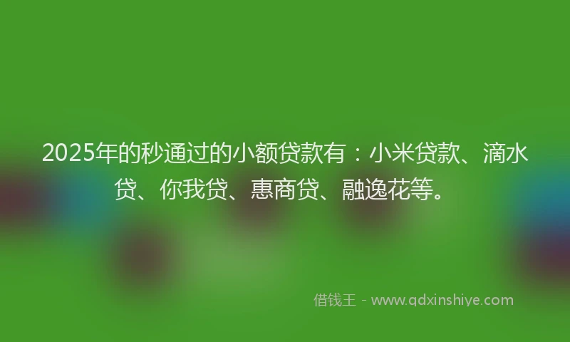2025年的秒通过的小额贷款有：小米贷款、滴水贷、你我贷、惠商贷、融逸花等。
