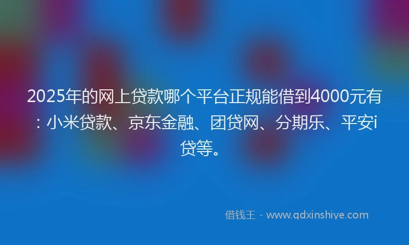 2025年的网上贷款哪个平台正规能借到4000元有：小米贷款、京东金融、团贷网、分期乐、平安i贷等。