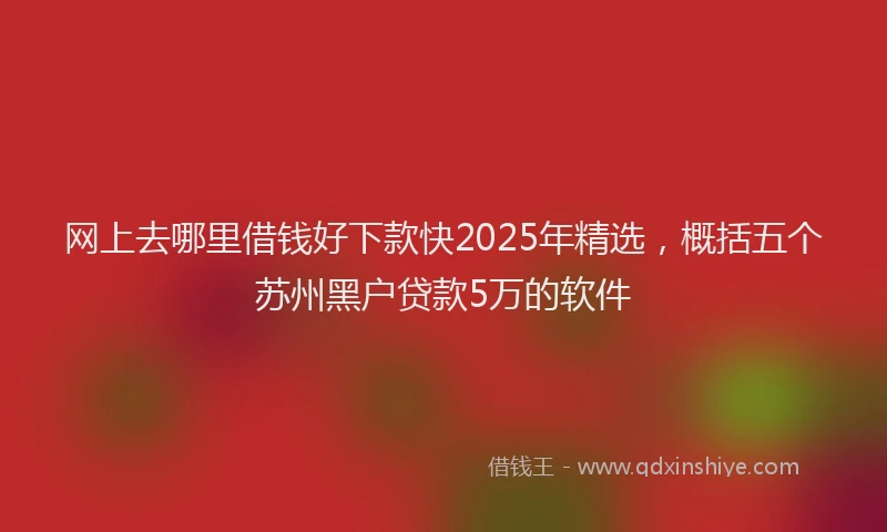 网上去哪里借钱好下款快2025年精选，概括五个苏州黑户贷款5万的软件