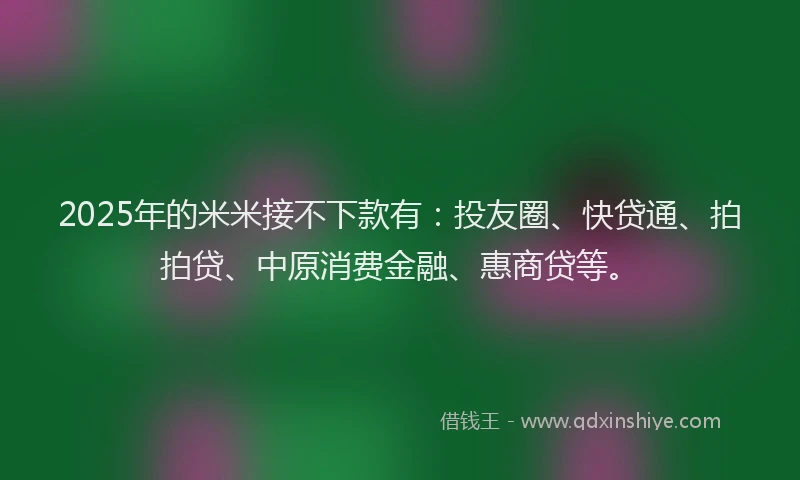 2025年的米米接不下款有：投友圈、快贷通、拍拍贷、中原消费金融、惠商贷等。