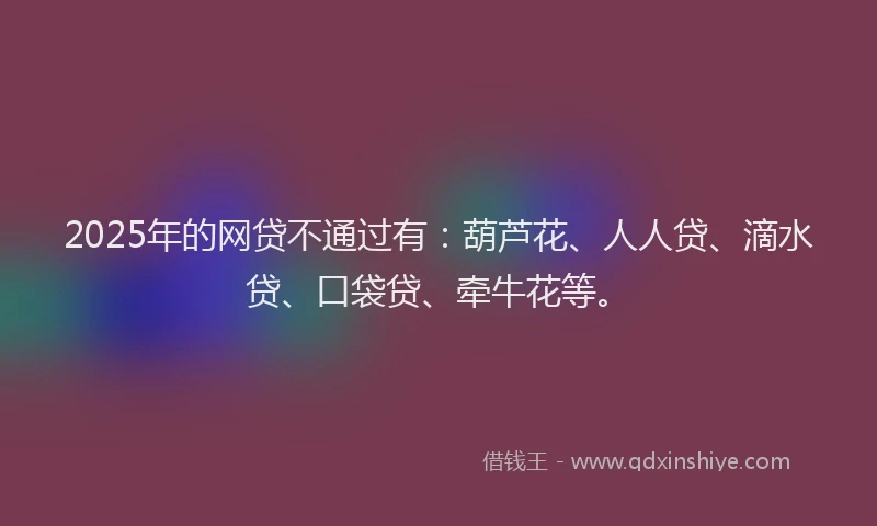 2025年的网贷不通过有：葫芦花、人人贷、滴水贷、口袋贷、牵牛花等。
