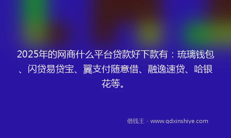 2025年的网商什么平台贷款好下款有：琉璃钱包、闪贷易贷宝、翼支付随意借、融逸速贷、哈银花等。