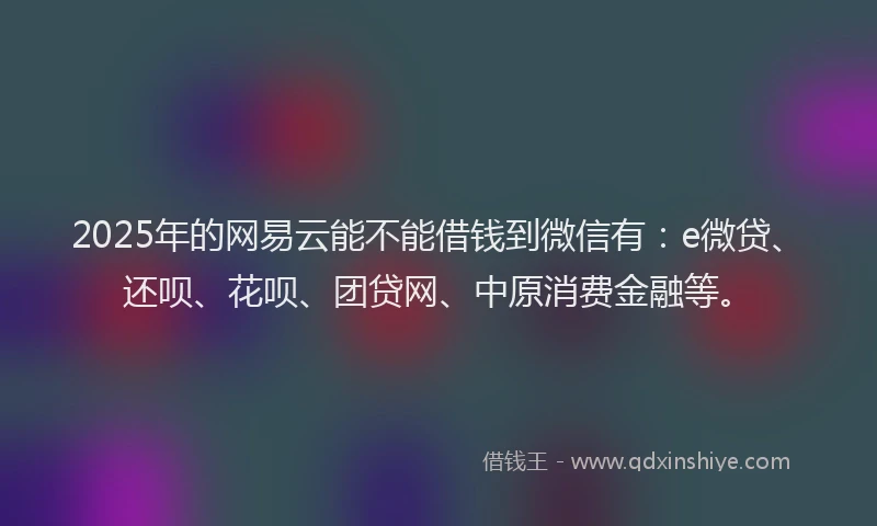 2025年的网易云能不能借钱到微信有：e微贷、还呗、花呗、团贷网、中原消费金融等。