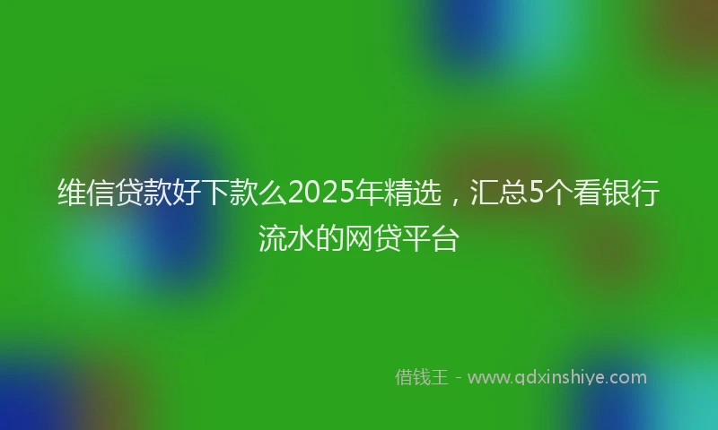 维信贷款好下款么2025年精选，汇总5个看银行流水的网贷平台