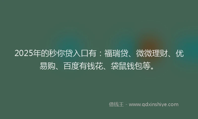2025年的秒你贷入口有：福瑞贷、微微理财、优易购、百度有钱花、袋鼠钱包等。