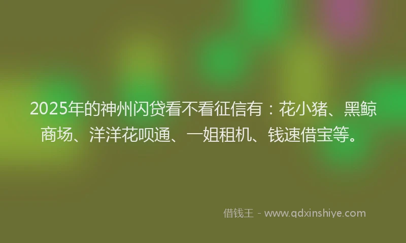 2025年的神州闪贷看不看征信有：花小猪、黑鲸商场、洋洋花呗通、一姐租机、钱速借宝等。