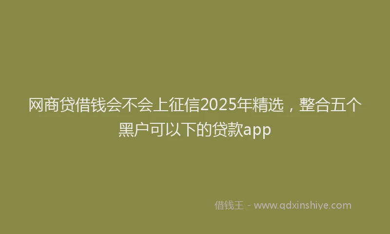 网商贷借钱会不会上征信2025年精选，整合五个黑户可以下的贷款app