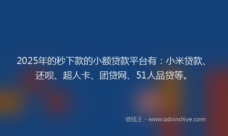 2025年的秒下款的小额贷款平台有：小米贷款、还呗、超人卡、团贷网、51人品贷等。