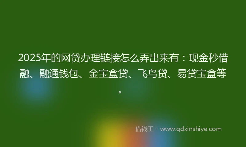 2025年的网贷办理链接怎么弄出来有：现金秒借融、融通钱包、金宝盒贷、飞鸟贷、易贷宝盒等。