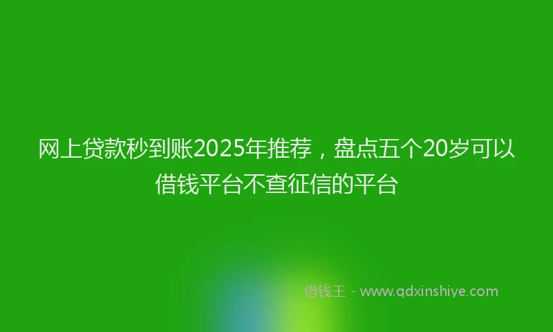 网上贷款秒到账2025年推荐，盘点五个20岁可以借钱平台不查征信的平台