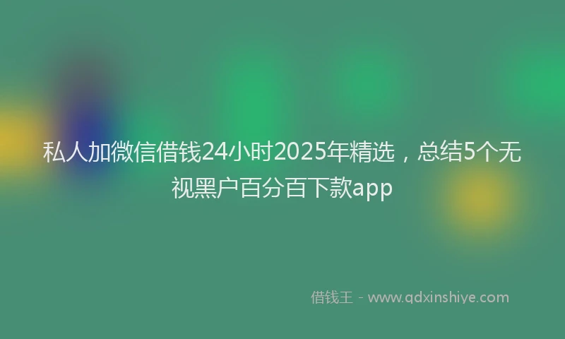 私人加微信借钱24小时2025年精选，总结5个无视黑户百分百下款app