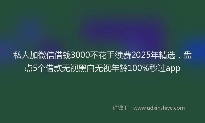 私人加微信借钱3000不花手续费2025年精选，盘点5个借款无视黑白无视年龄100%秒过app