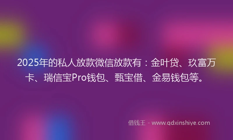 2025年的私人放款微信放款有：金叶贷、玖富万卡、瑞信宝Pro钱包、甄宝借、金易钱包等。