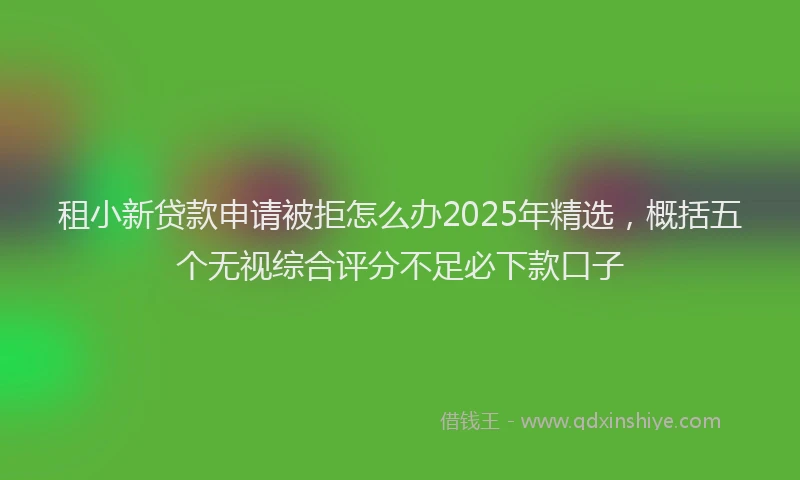租小新贷款申请被拒怎么办2025年精选，概括五个无视综合评分不足必下款口子