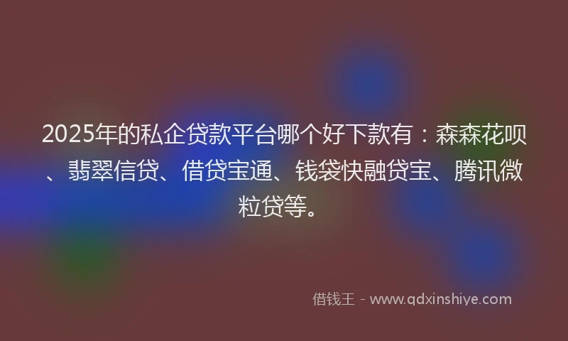 2025年的私企贷款平台哪个好下款有：森森花呗、翡翠信贷、借贷宝通、钱袋快融贷宝、腾讯微粒贷等。