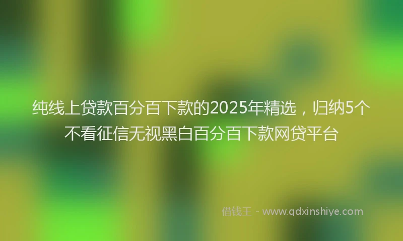 纯线上贷款百分百下款的2025年精选，归纳5个不看征信无视黑白百分百下款网贷平台