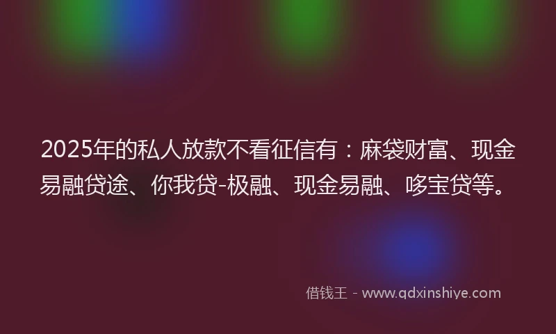 2025年的私人放款不看征信有：麻袋财富、现金易融贷途、你我贷-极融、现金易融、哆宝贷等。
