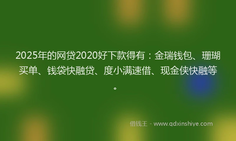 2025年的网贷2020好下款得有：金瑞钱包、珊瑚买单、钱袋快融贷、度小满速借、现金侠快融等。