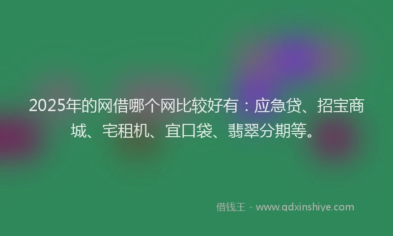 2025年的网借哪个网比较好有：应急贷、招宝商城、宅租机、宜口袋、翡翠分期等。