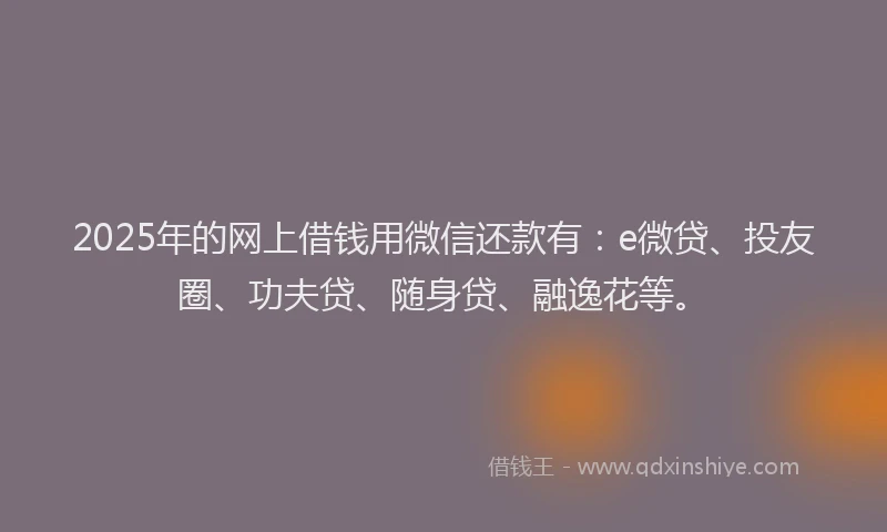 2025年的网上借钱用微信还款有：e微贷、投友圈、功夫贷、随身贷、融逸花等。