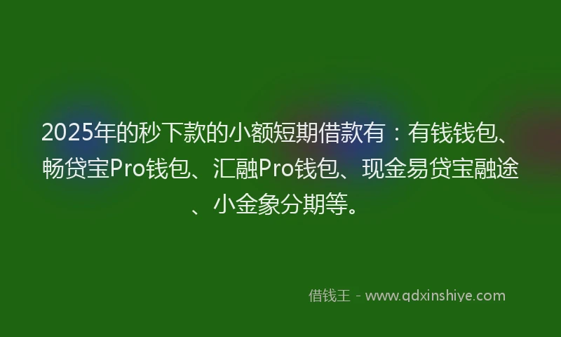 2025年的秒下款的小额短期借款有：有钱钱包、畅贷宝Pro钱包、汇融Pro钱包、现金易贷宝融途、小金象分期等。