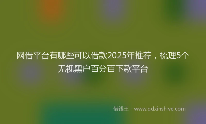 网借平台有哪些可以借款2025年推荐，梳理5个无视黑户百分百下款平台